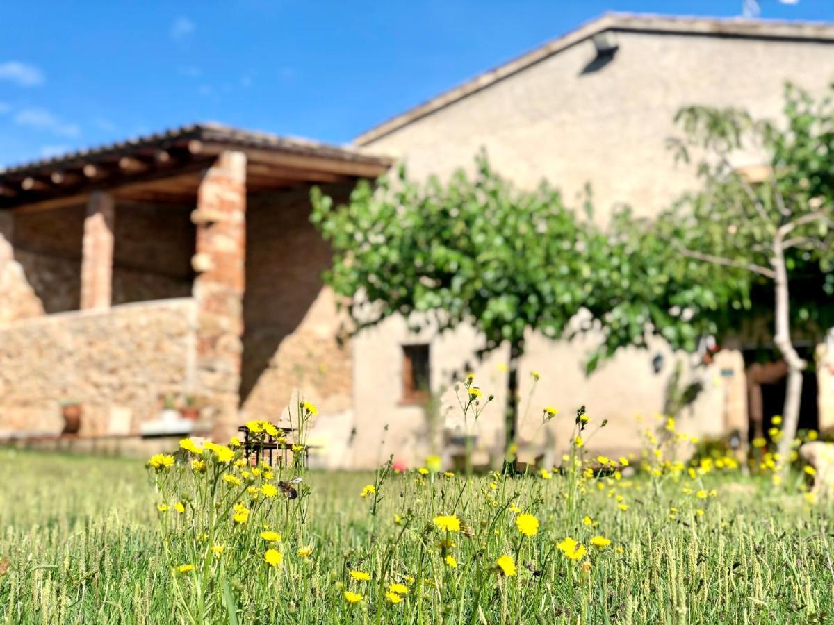 Casa Rural Can Miquel - En Pleno Bosque Y Cerca De La Playa - Increibles Rutas Btt Santa Coloma De Farners Eksteriør bilde