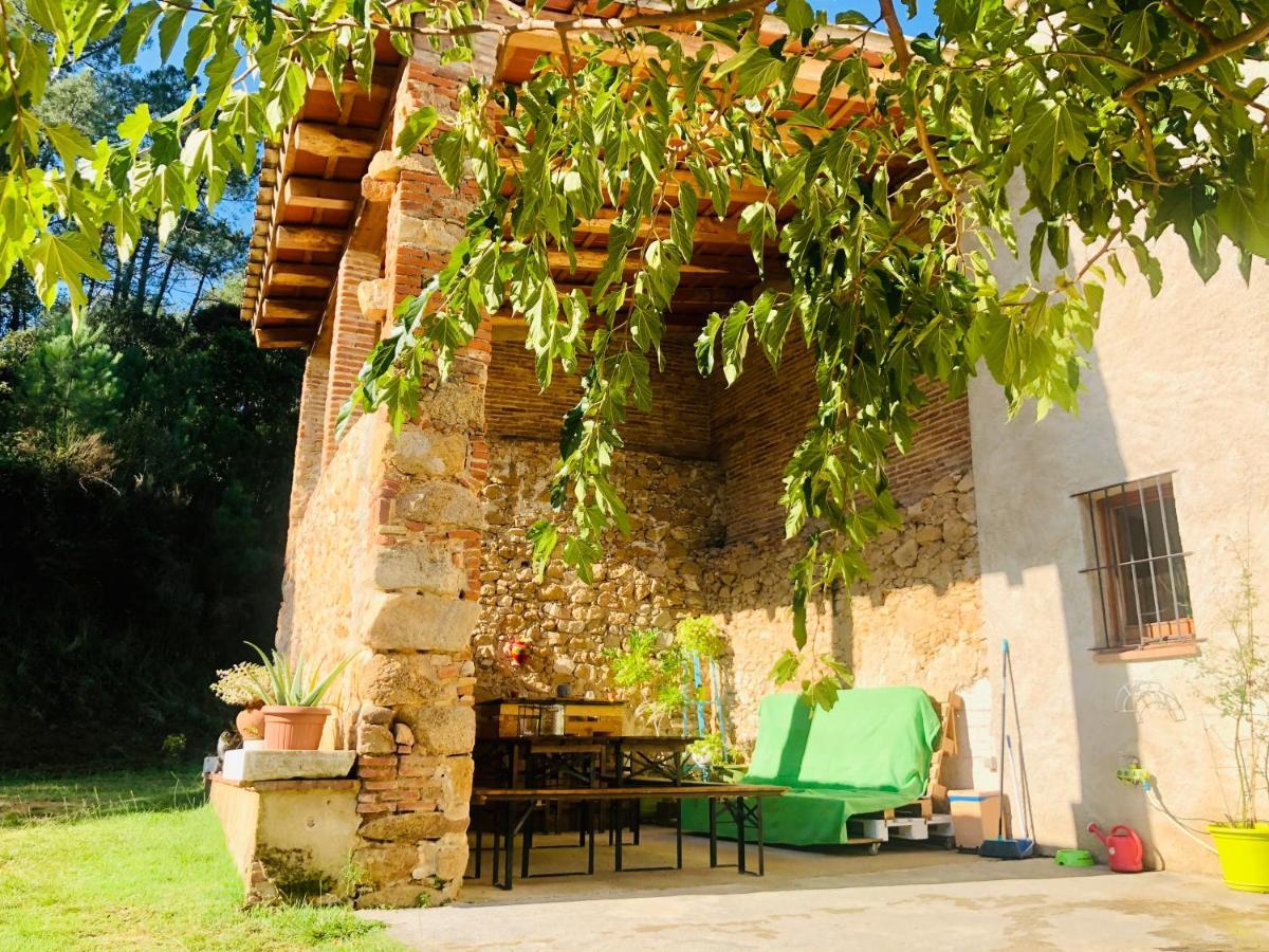 Casa Rural Can Miquel - En Pleno Bosque Y Cerca De La Playa - Increibles Rutas Btt Santa Coloma De Farners Eksteriør bilde