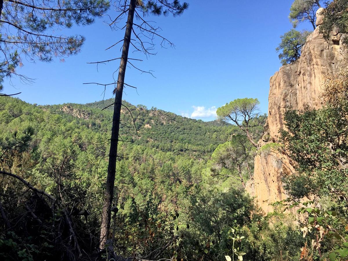 Casa Rural Can Miquel - En Pleno Bosque Y Cerca De La Playa - Increibles Rutas Btt Santa Coloma De Farners Eksteriør bilde
