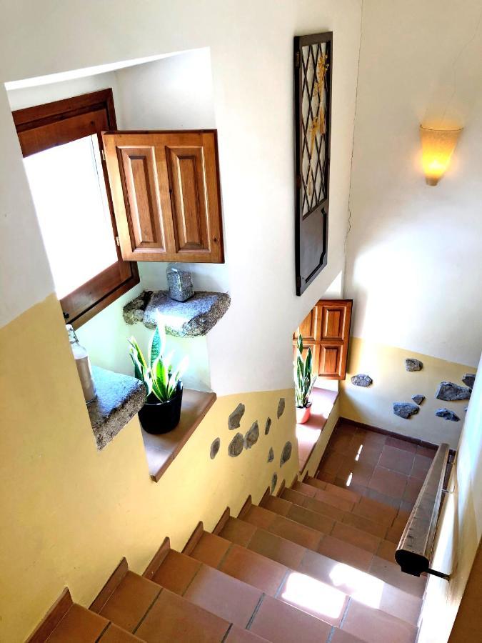 Casa Rural Can Miquel - En Pleno Bosque Y Cerca De La Playa - Increibles Rutas Btt Santa Coloma De Farners Eksteriør bilde