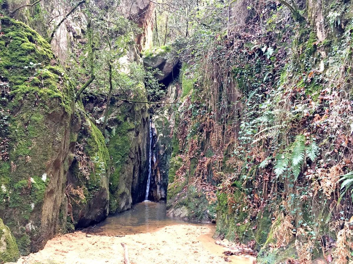 Casa Rural Can Miquel - En Pleno Bosque Y Cerca De La Playa - Increibles Rutas Btt Santa Coloma De Farners Eksteriør bilde
